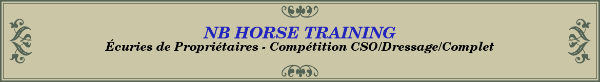 NB HORSE TRAINING